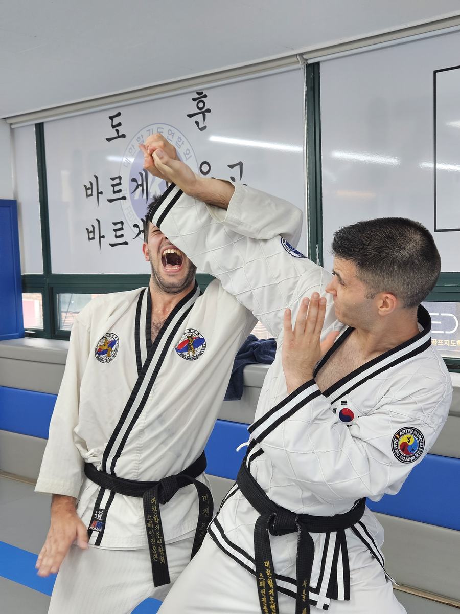 Instructores demostrando una técnica de Hapkido Jin Jung Kwan