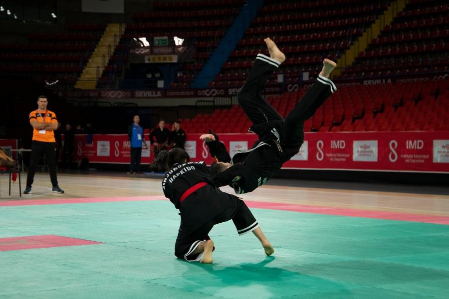 Caída durante una exhibición de Hapkido