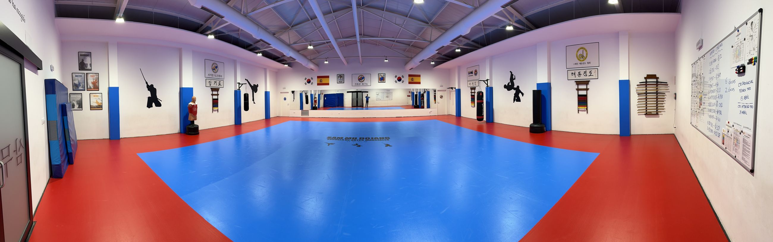 Vista panorámica del tatami de 210 m² de Sam Mu Dojang